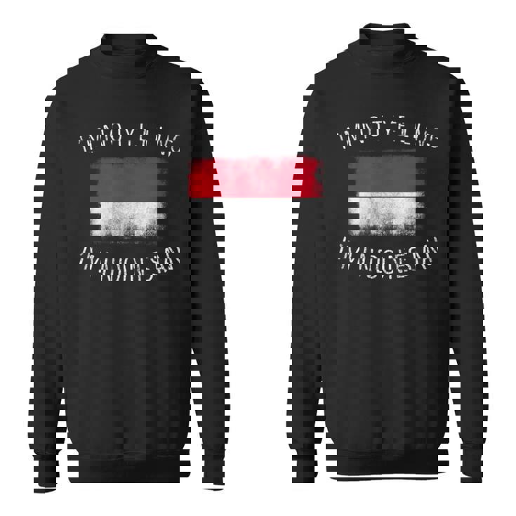 怒鳴ってないよ、私はインドネシア人だ-面白いインドネシアプライド スウェットシャツ