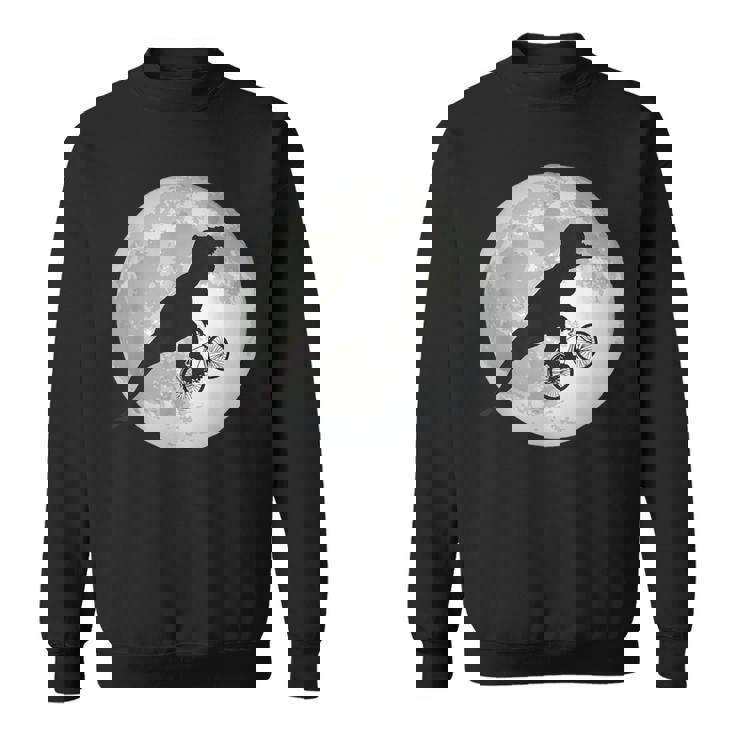 恐竜 ダイナソー 面白いtシャツ ティラノサウルス 月と自転車 サイクリング アート メンズ 子供 おもしろ 服 ネタ スウェットシャツ