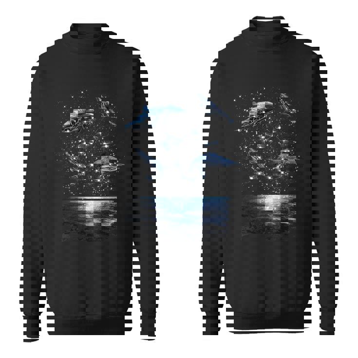 星座イルカ、天体宇宙銀河イルカ スウェットシャツ