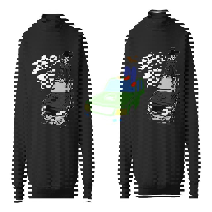 板金のようす 窓割れなし顔違い スウェットシャツ