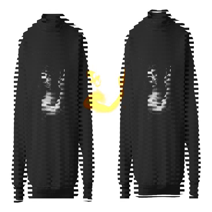 洗礼者ヨハネ1516ダ・ヴィンチ美術画ルネサンス スウェットシャツ