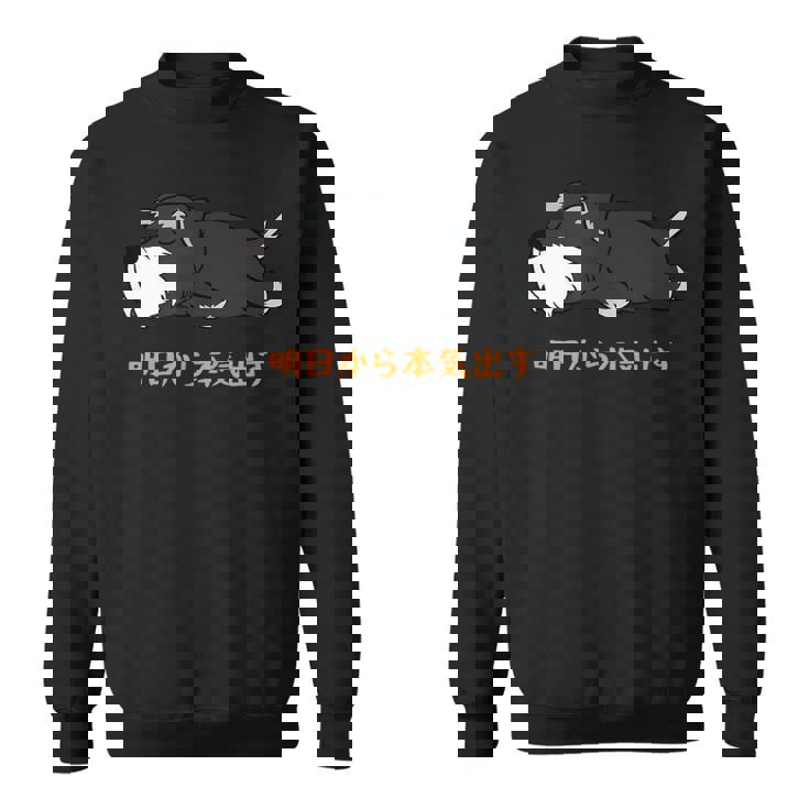 犬 おもしろ 明日から本気出すから 可愛い シュナウザー ミニチュアシュナウザー スウェットシャツ