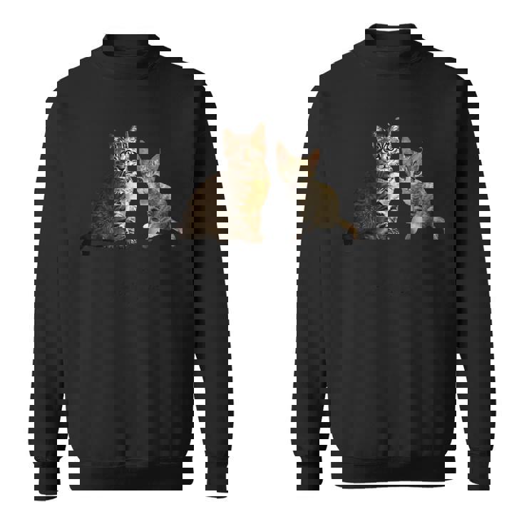 猫のルルとララ スウェットシャツ