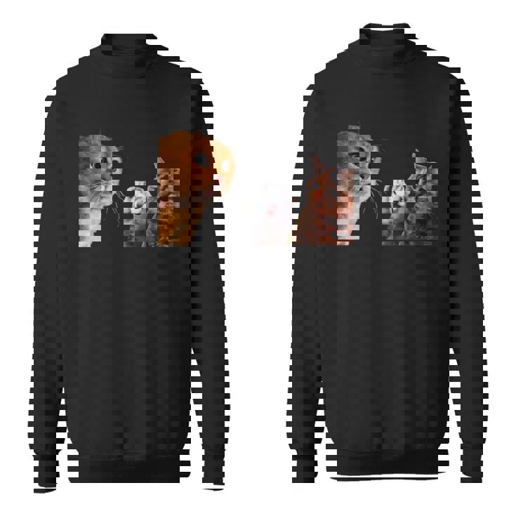 猫ミーム 説教する猫 怒られる猫 泣き叫ぶ猫 説教 怒る かわいい 面白い 人気 楽しい ハッピー スウェットシャツ