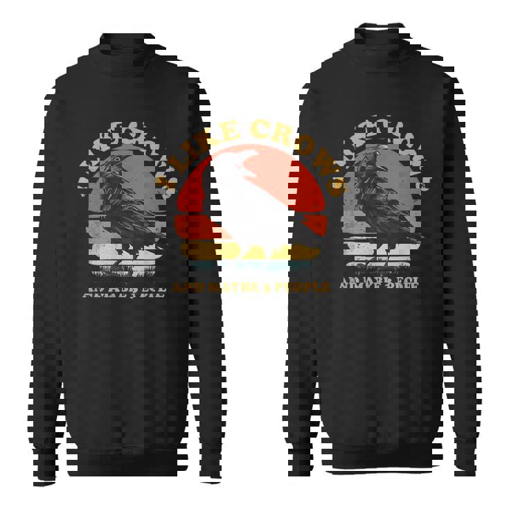 私はカラスと多分 3 人が好きです レトロ ビンテージ ブラック カラス スウェットシャツ