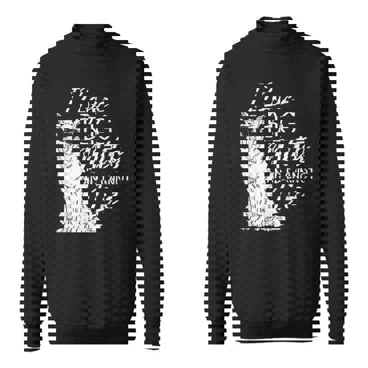 私は大きな雑種が大好きで、犬救助犬シェルターに嘘はつかない スウェットシャツ