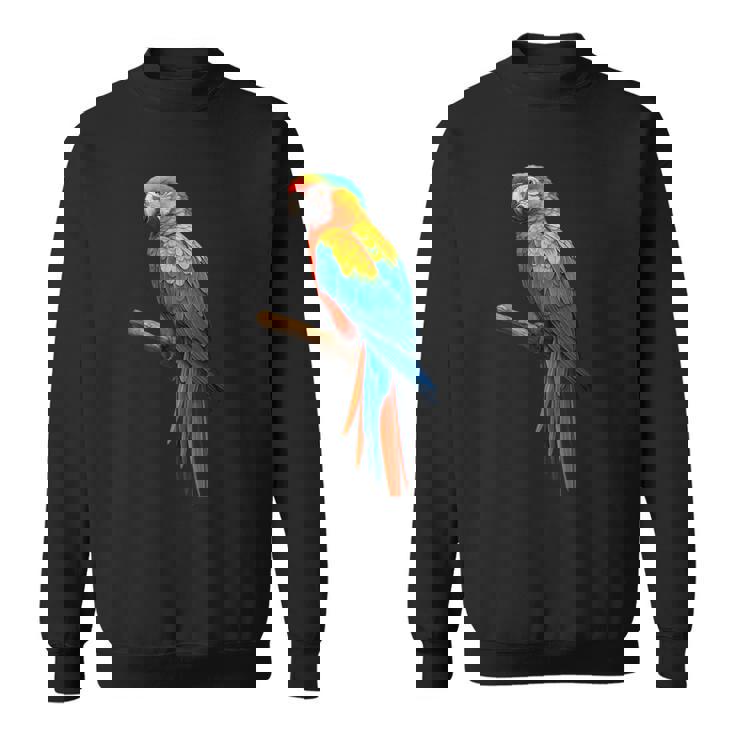 美しいオウム スウェットシャツ