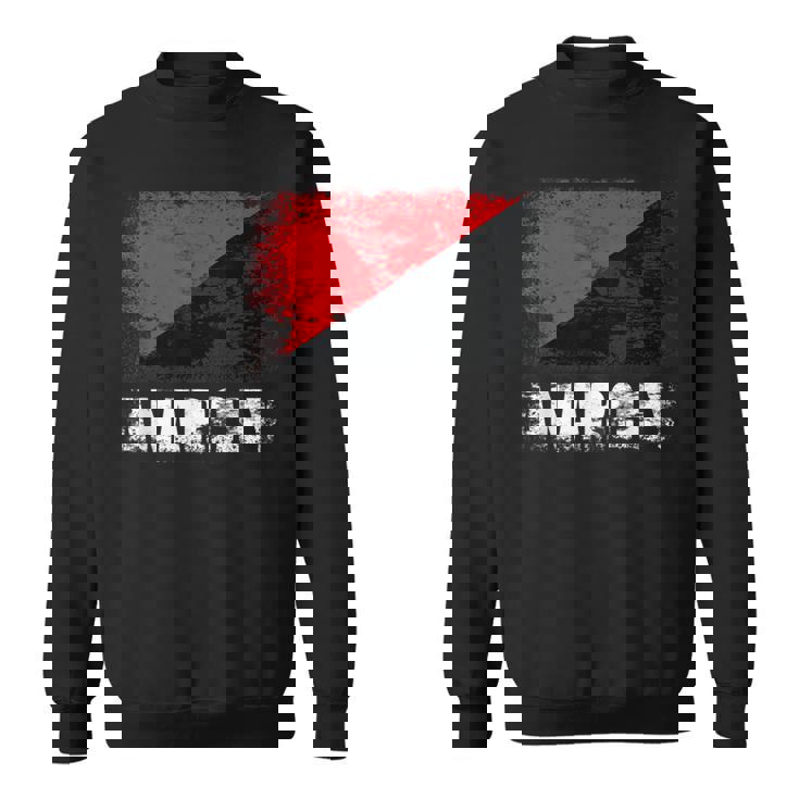 赤黒アナーキーフラッグtシャツ スウェットシャツ