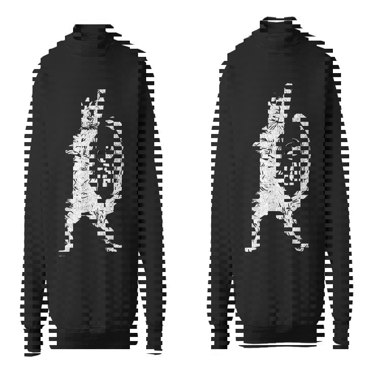 陽気な猫 太極拳ポーズ 格闘技 陰陽バランス スウェットシャツ