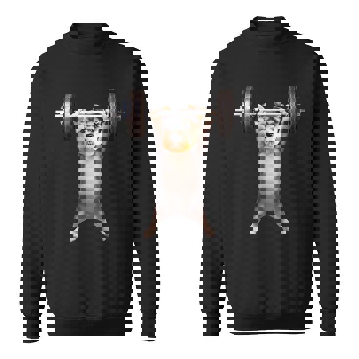 面白いtシャツ シュナウザー 犬 イヌ わんこ メンズ 犬好き グッズ かわいい 面白い 服 ネタ 筋トレ スウェットシャツ