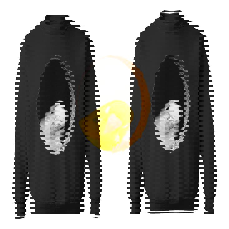 面白いセキセイインコ イエロー セキセイインコ ペット 鳥好きのギフト スウェットシャツ