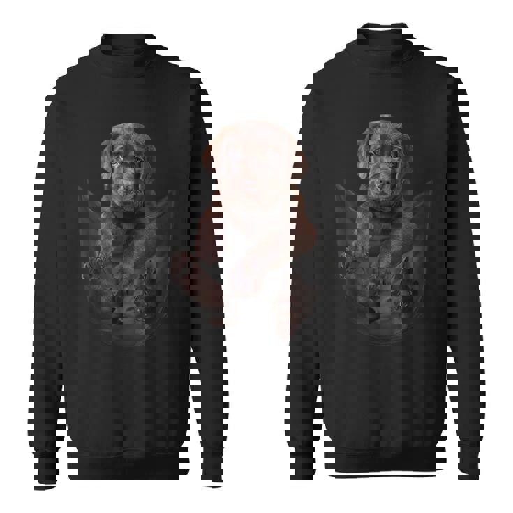 面白いラブラドールレトリバーをポケットに入れてチョコレートラボ用 スウェットシャツ