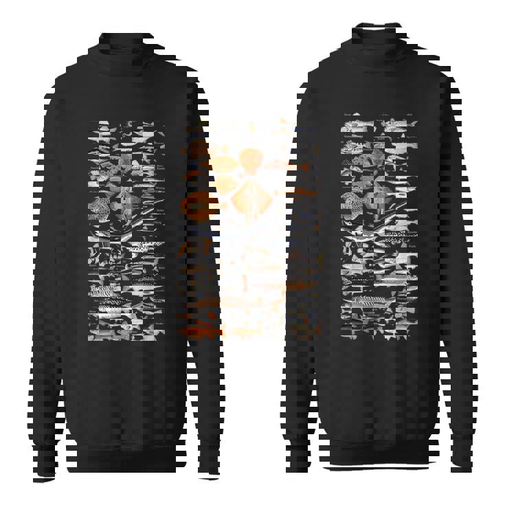 魚の概要と名前。 スウェットシャツ