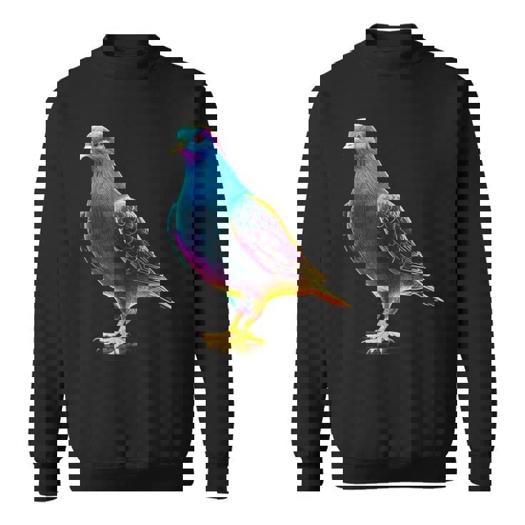 鳩 カラフル 動物 動物園 アートワーク 鳩 スウェットシャツ