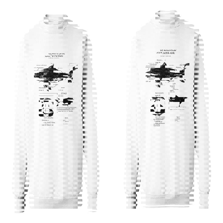 Anatomía Del Gran Tiburón Blanco Camisa de entrenamiento