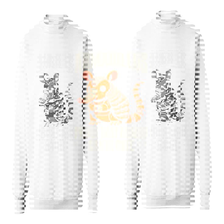 Armadillo かわいいアーマー アニマル アルマジロ 長袖tシャツ スウェットシャツ