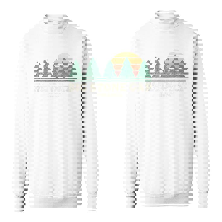 Bigtone Gapaヴィンテージスローバックtシャツ レトロ70年代デザイン スウェットシャツ