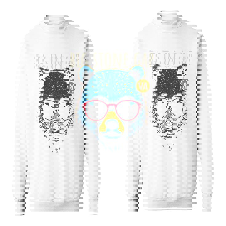 Bigtone Gapirginia Cool Bear サングラスデザイン 長袖tシャツ スウェットシャツ