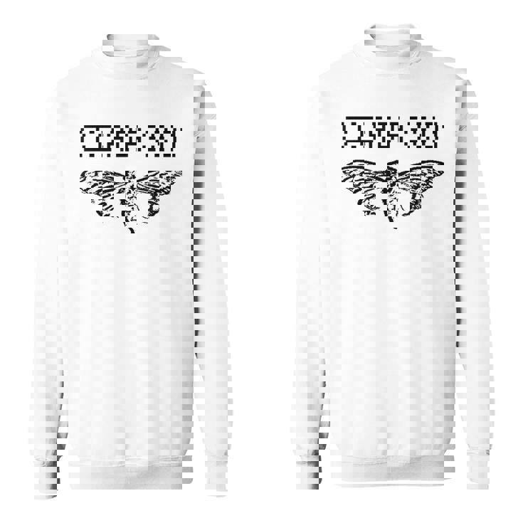 Cicada 3301 シャツ 面白い Cicadas Computer Geek スウェットシャツ