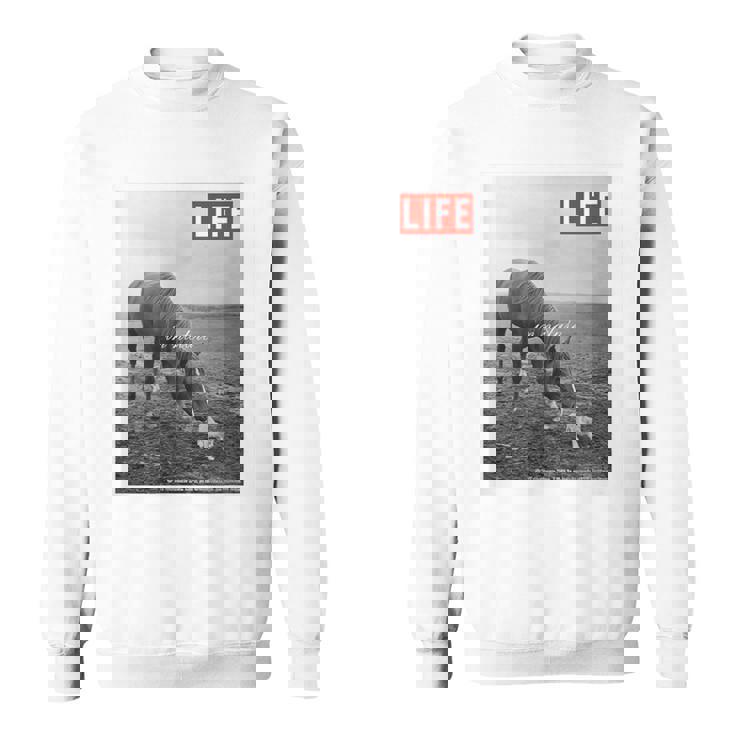 Life Picture Collection 馬と猫（1） スウェットシャツ