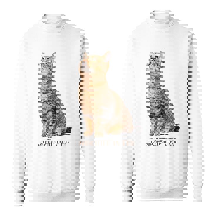 Mischief In Fur 猫写真 キジトラ 猫好き ネタ 猫しもべ 猫飼い 猫依存症 猫オーナー スウェットシャツ