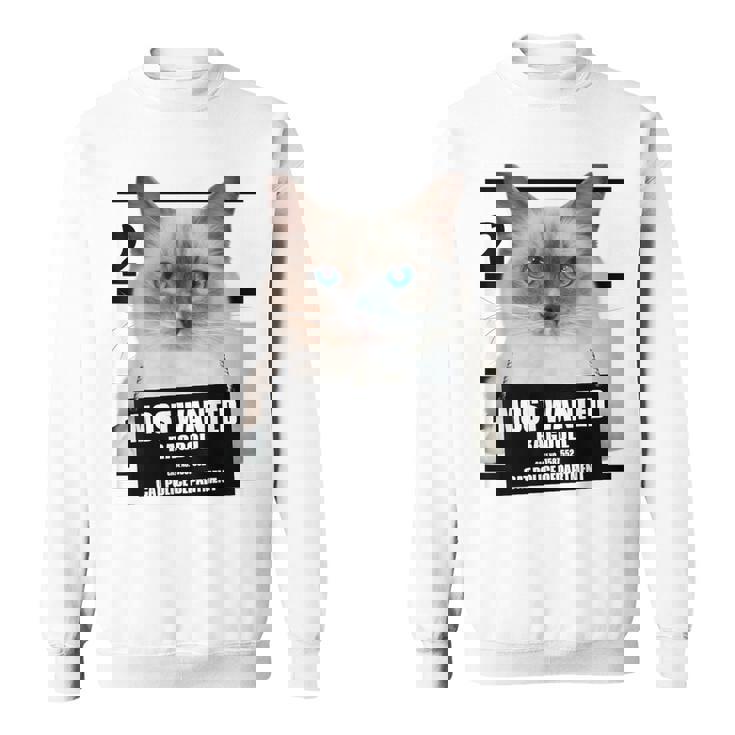 Most Wanted ラグドール ラグドール 猫 スウェットシャツ