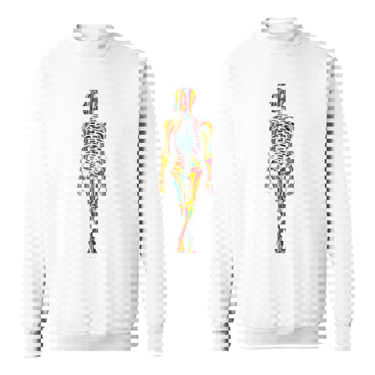 Skelleton カラフル ヒューマンアート 抽象 グラフィック スケルトン スウェットシャツ
