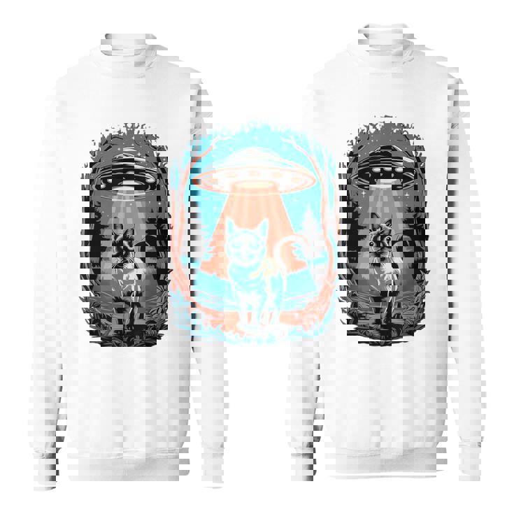 Ufo 猫誘拐 星空の下で スウェットシャツ