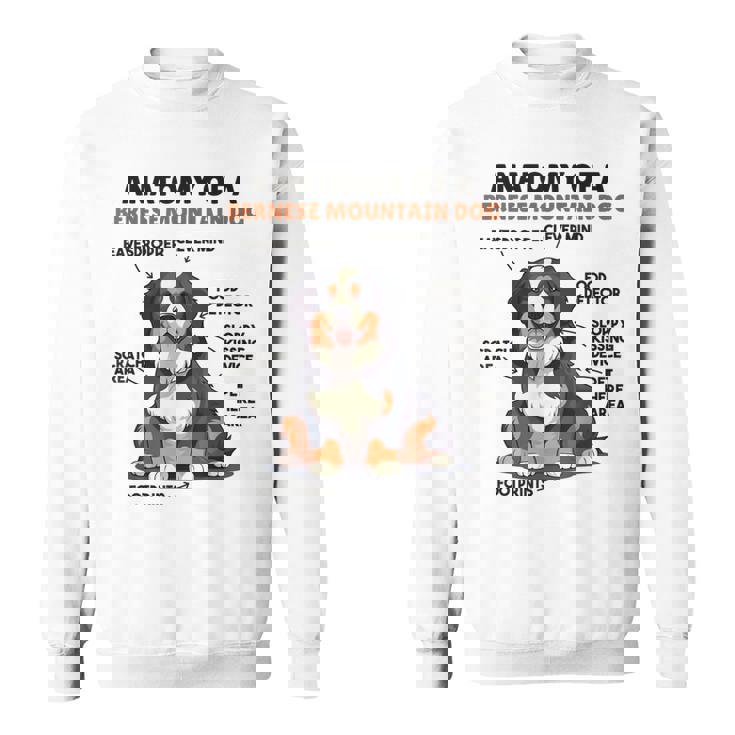 かわいい犬の説明 バーニーズ・マウンテン・ドッグの解剖学 スウェットシャツ