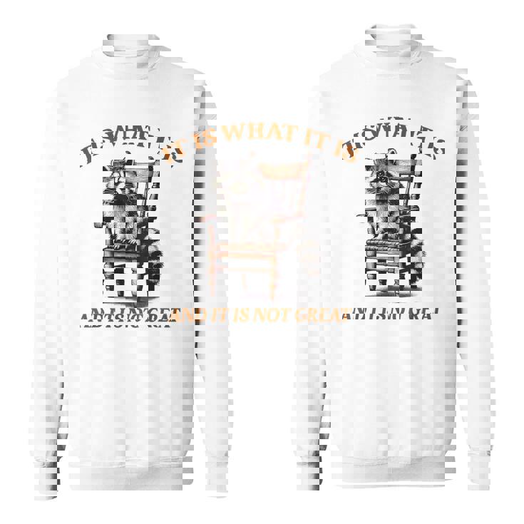 アライグマのミーム It's What It's And It Is Not Greatarcastic スウェットシャツ