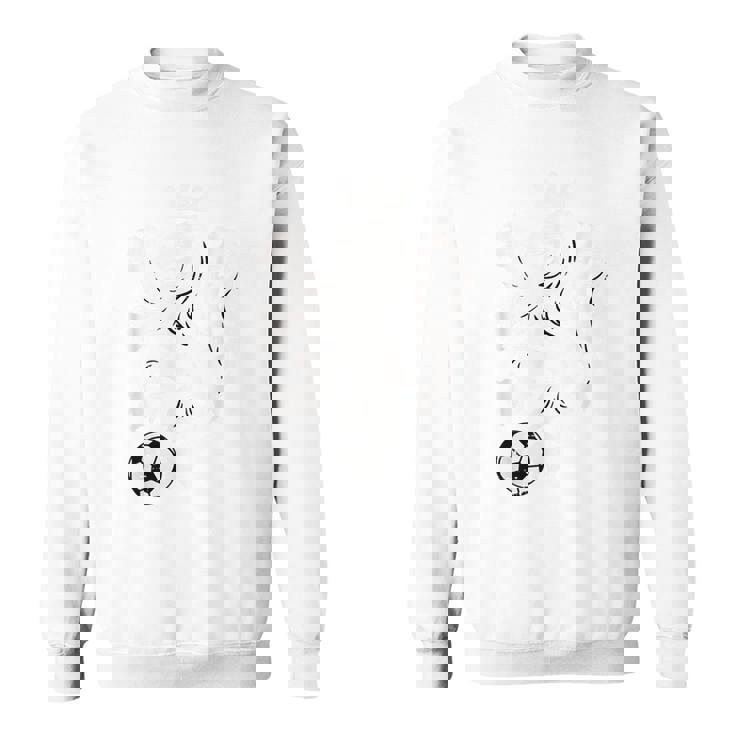 オランダ ライオン オランダ オレンジ サッカー ファン メンズ レディース キッズ スウェットシャツ