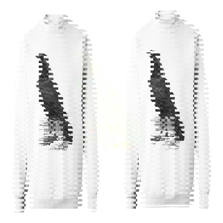 カラス ビンテージ イラスト カラス スウェットシャツ