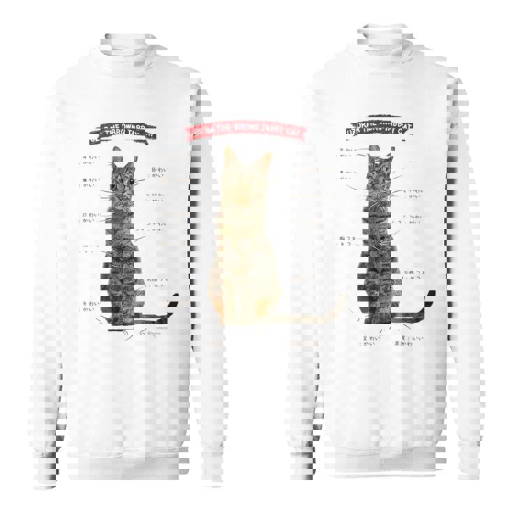 キジトラねこ、うずら 猫 キジトラ猫 鶉 かわいい Cat （ホワイト） スウェットシャツ