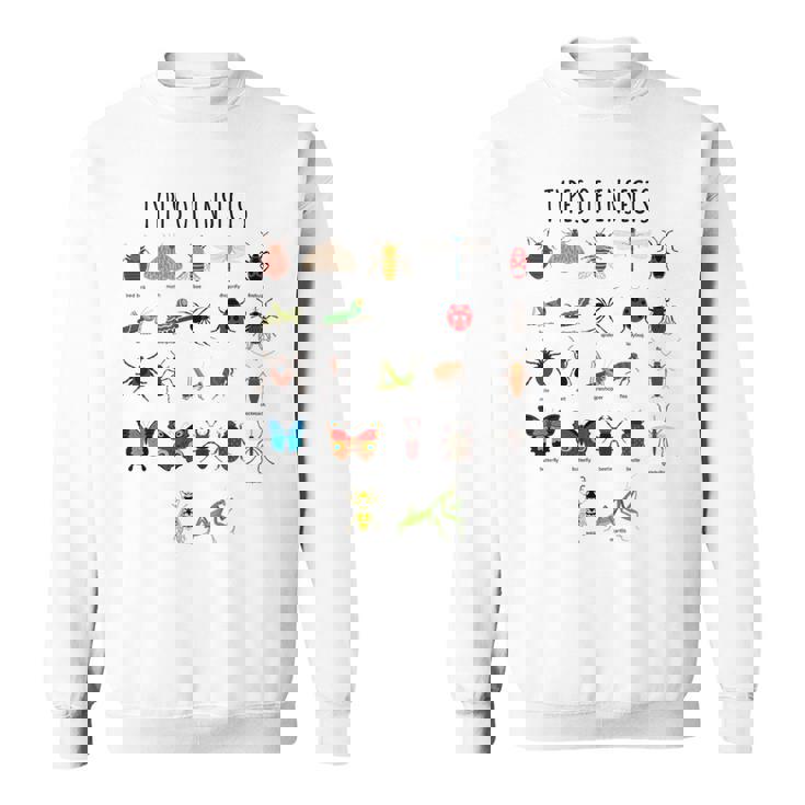キッズ 昆虫の種類バグ識別科学 スウェットシャツ