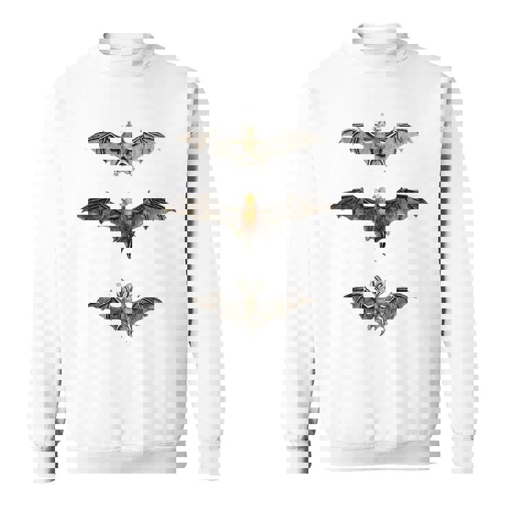 コウモリ 科学イラスト 描画 生物学 アート ハロウィン スウェットシャツ