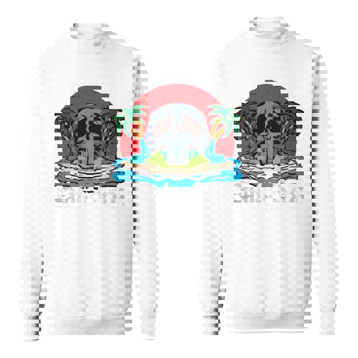 サンタクルーズ カリフォルニア ヴィンテージ レトロ 長袖tシャツ スウェットシャツ