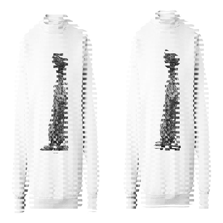 ドッグ・プロット・ハウンド スウェットシャツ