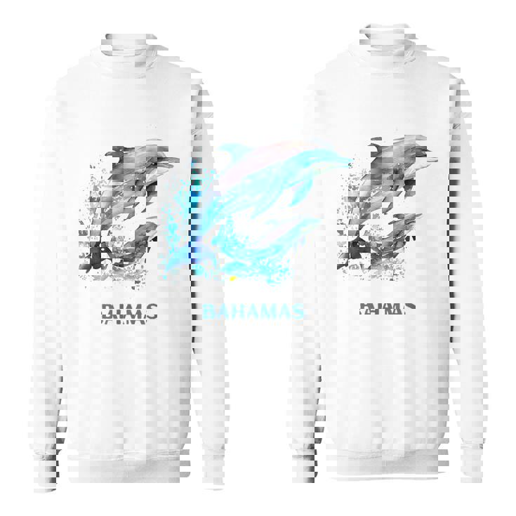 ドルフィン バケーション ヴィンテージ バハマ ビーチ デスティネーション スウェットシャツ