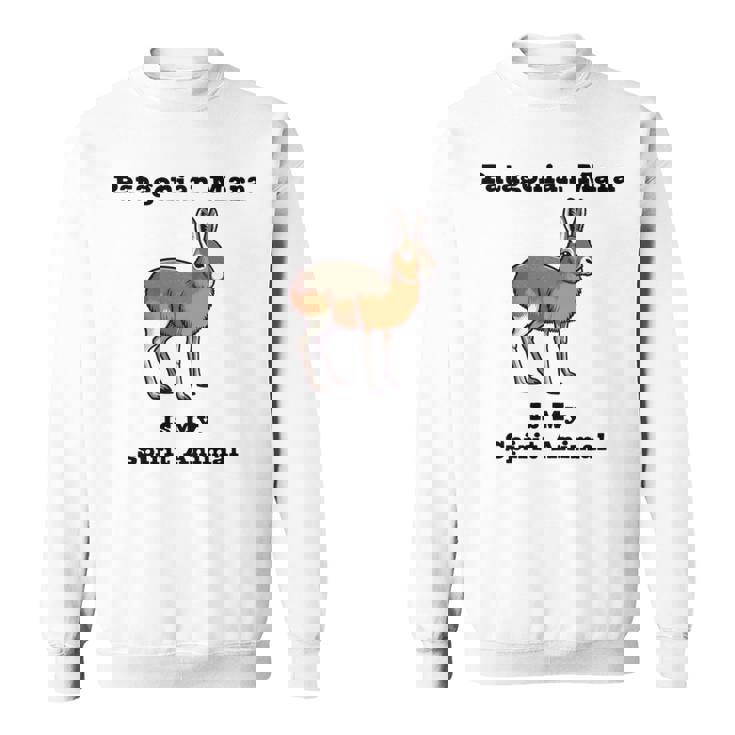 パタゴニアン マーラ スピリットアニマル 長袖tシャツ スウェットシャツ