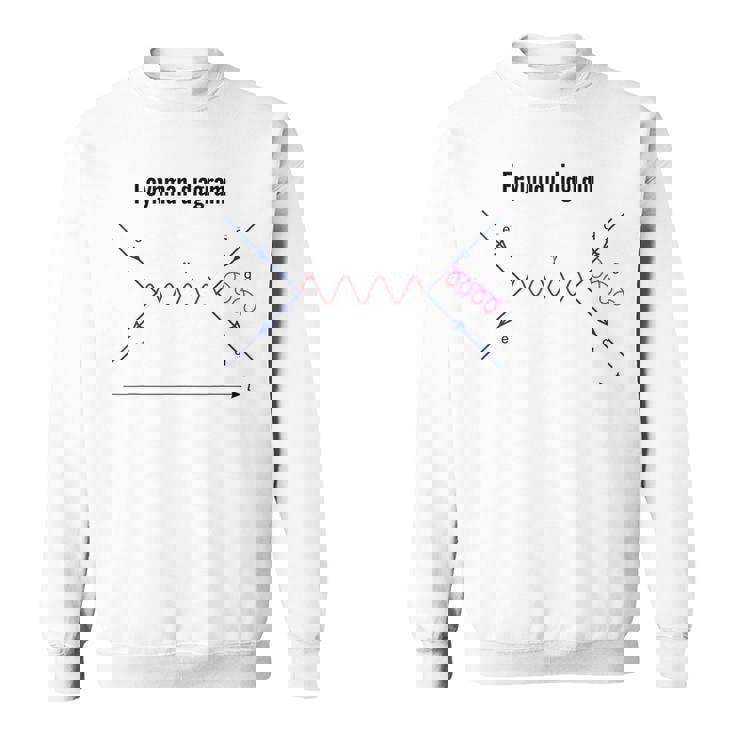 ファインマン図 物理学 量子野外物理学 スウェットシャツ