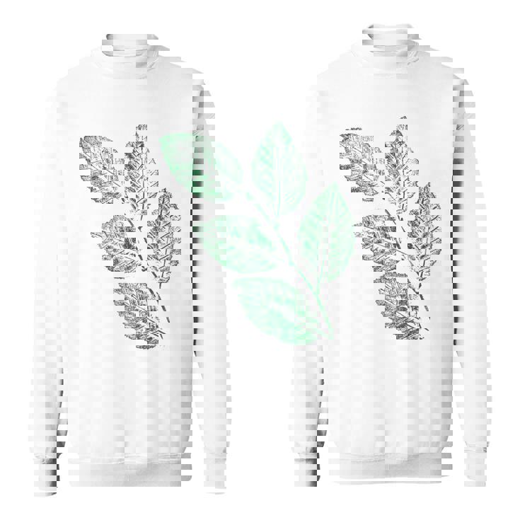 ブナの葉 植物 自然と森林 木のグラフィックス スウェットシャツ