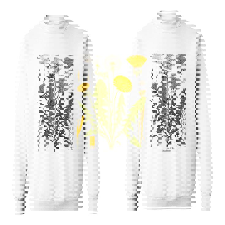 ヴィンテージ タンポポ チャート タンポポポ ボタニカル スウェットシャツ