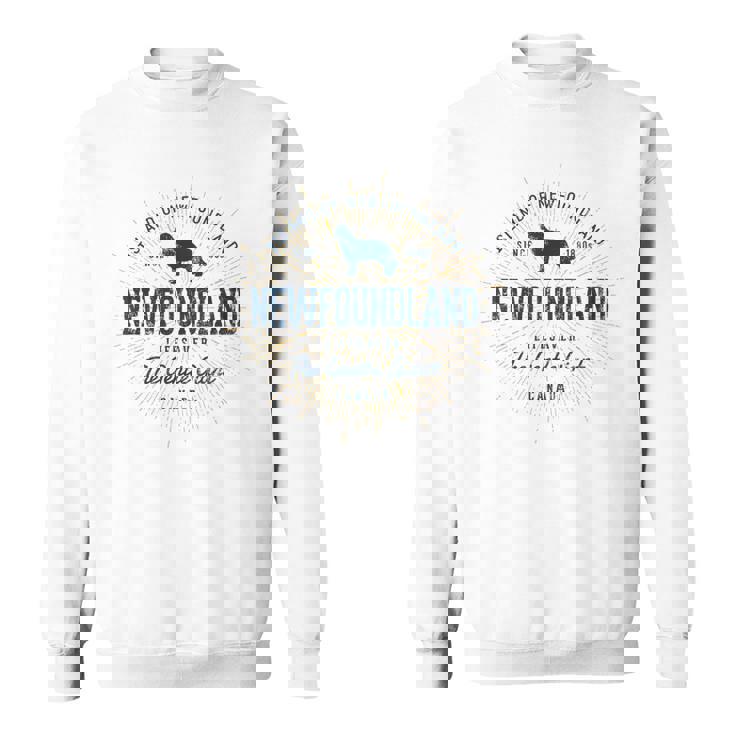 ヴィンテージ ニューファンドランド レトロ スウェットシャツ