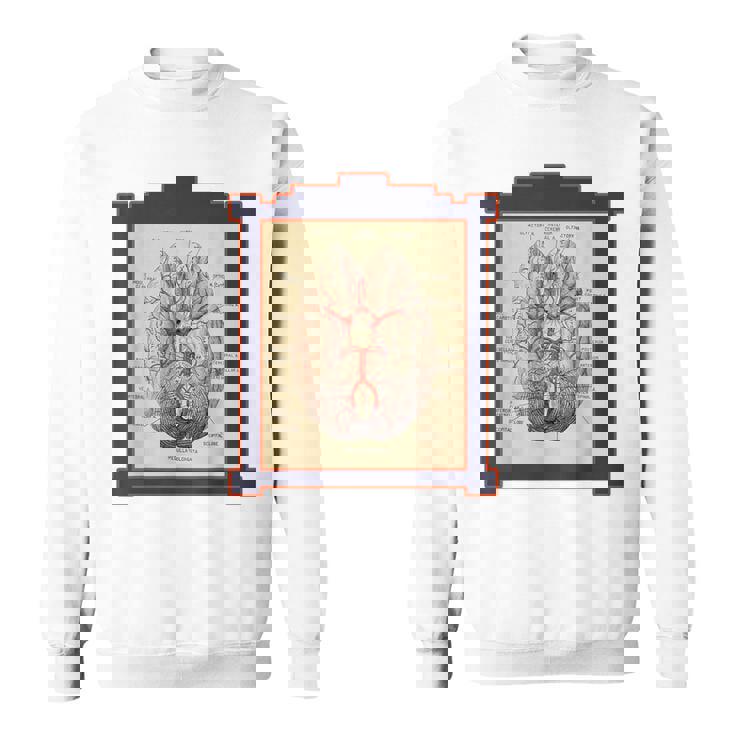 ヴィンテージ 人間の脳 解剖図 スウェットシャツ