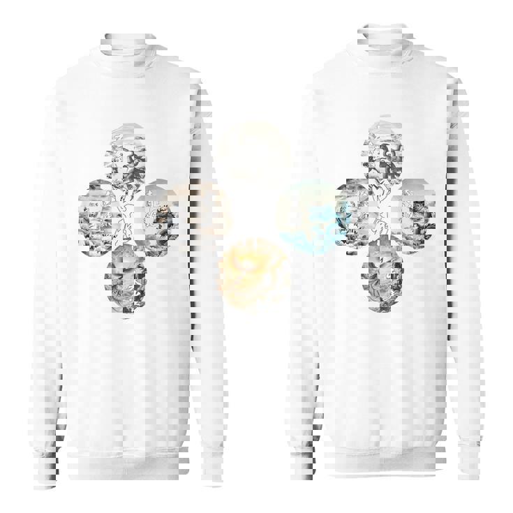 四神 青龍 白虎 朱雀 玄武 四象 東西南北 バックプリント スウェットシャツ