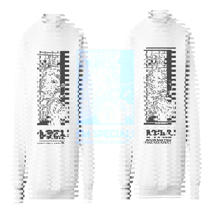 日 常 長袖tシャツ スウェットシャツ