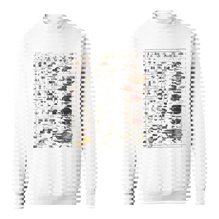 昆虫の種類 ビンテージバグ同定科学 スウェットシャツ