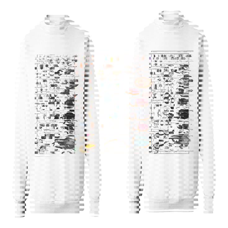 昆虫コレクション 種 虫 ビンテージ チャート 昆虫学 スウェットシャツ