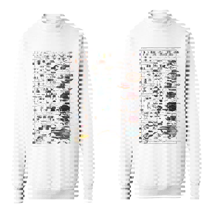 昆虫コレクション種ヴィンテージバグチャート昆虫学 スウェットシャツ