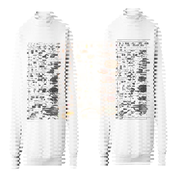 昆虫学者 昆虫学 昆虫 虫の種類 スウェットシャツ